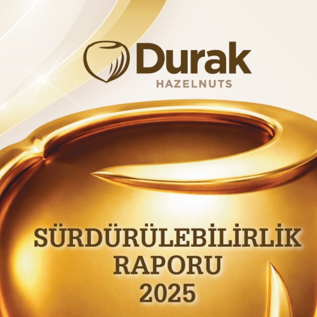 Sustainability Report 2025